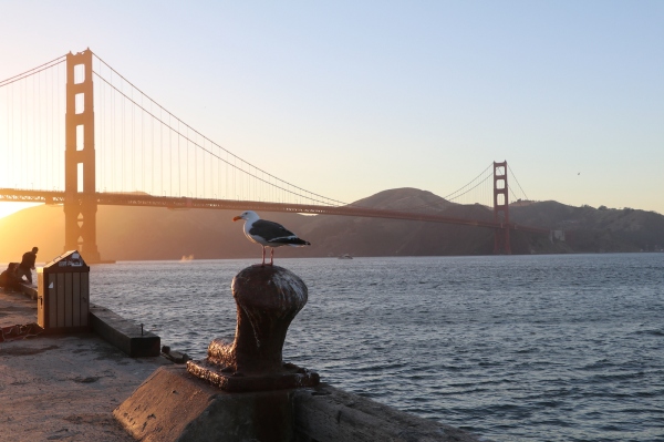 TechCrunch+ roundup: Automattic TC-1, federal startup grants, ‘getting s*** done day’